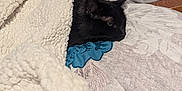 June joined the competition — help win amazing prizes! animal, bed, bedroom, blackcat, blanket, cat, couch, cushion, furniture, hardwood, homedecor, indoors, kitten, laundry, linen, manx, pet, quilt, room, towel