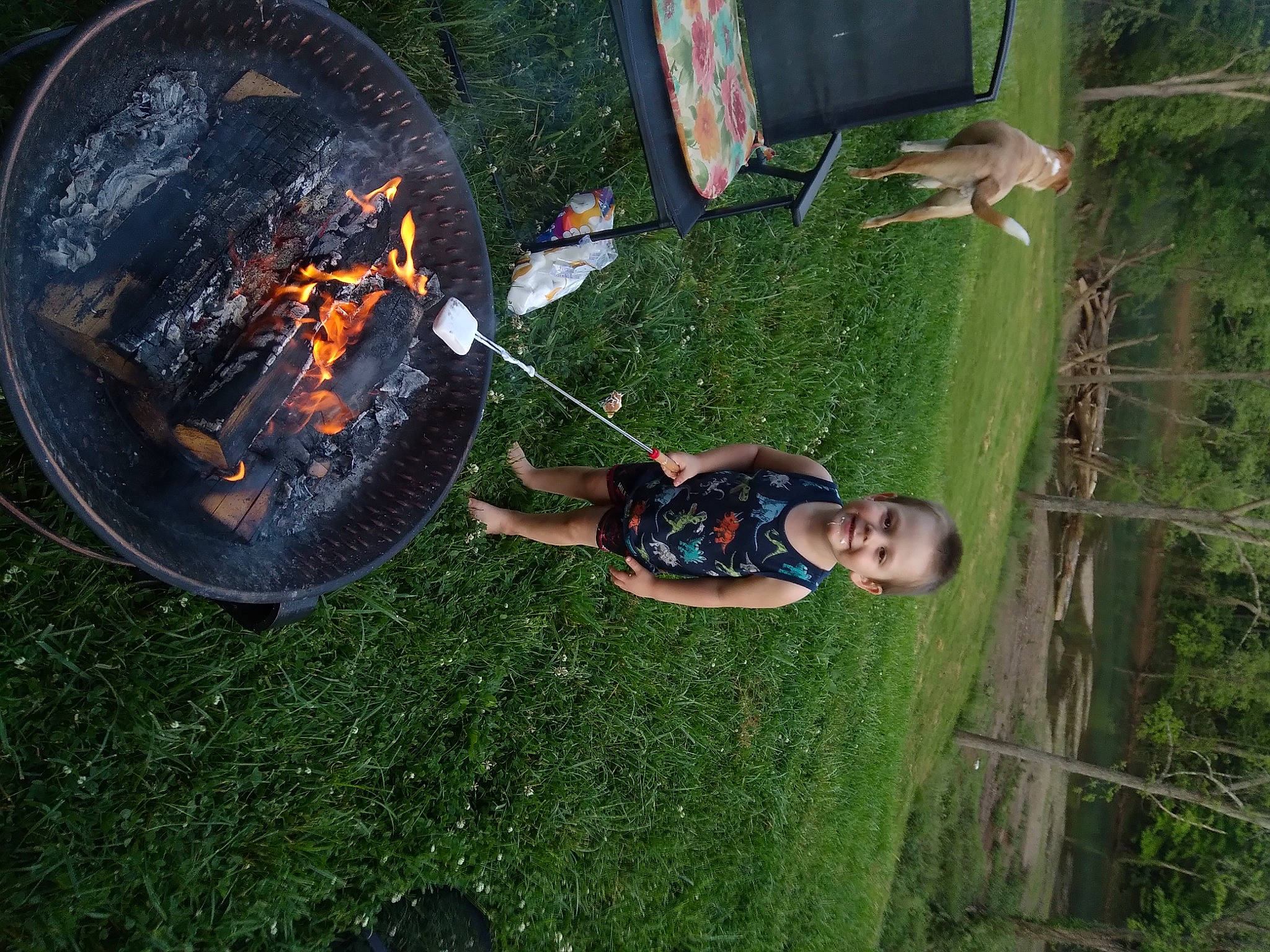 Preston is registered to the contest to win money with this photo: auto_part, automotive_tire, automotive_wheel_system, camping, charcoal, cooking, cookware_and_bakeware, fire, flame, fun, gas, grass, heat, joy, landscape, lawn, leisure, person, plant, recreation