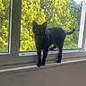Nyx participe au concours pour gagner de l'argent avec cette photo : black_cat, cat, windowsill, window, greenery, tree, indoor, animal, pet, feline, curious, sunlight, nature, house, home, standing, mammal, leafy, daylight, quiet