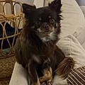 Lucille P.
