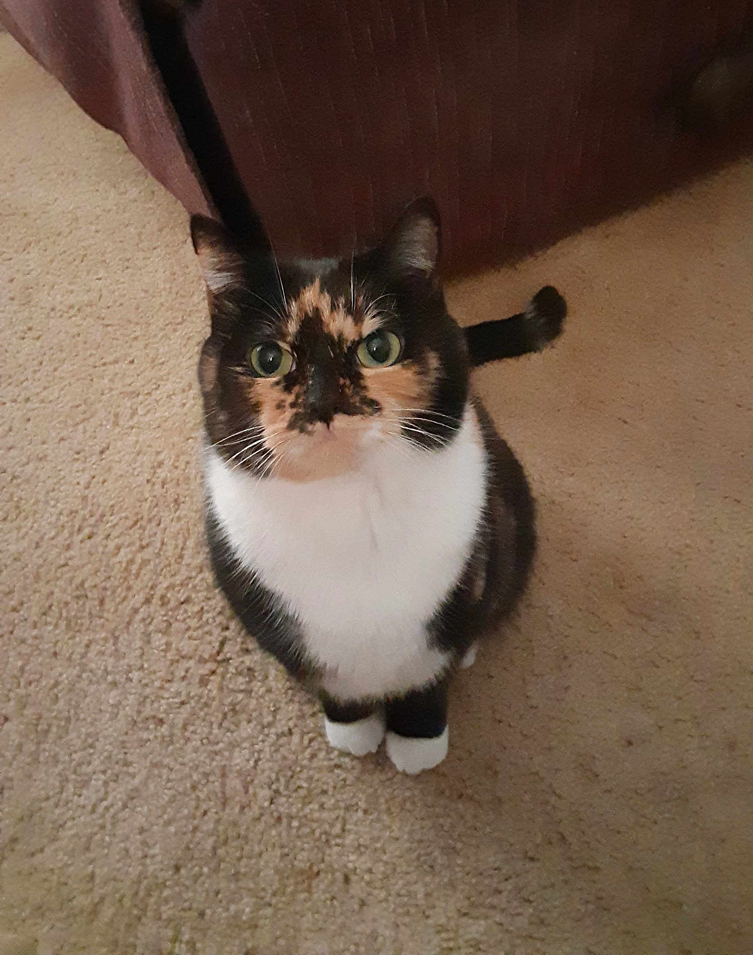 Rascal