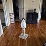 Biggins is registered to the contest to win money with this photo: cat, scratching_post, wood_floor, living_room, furniture, door, cabinet, lamp, photo_frame, household, indoor, pet, curious, sitting, flooring, decor, wall, room, domestic, cozy