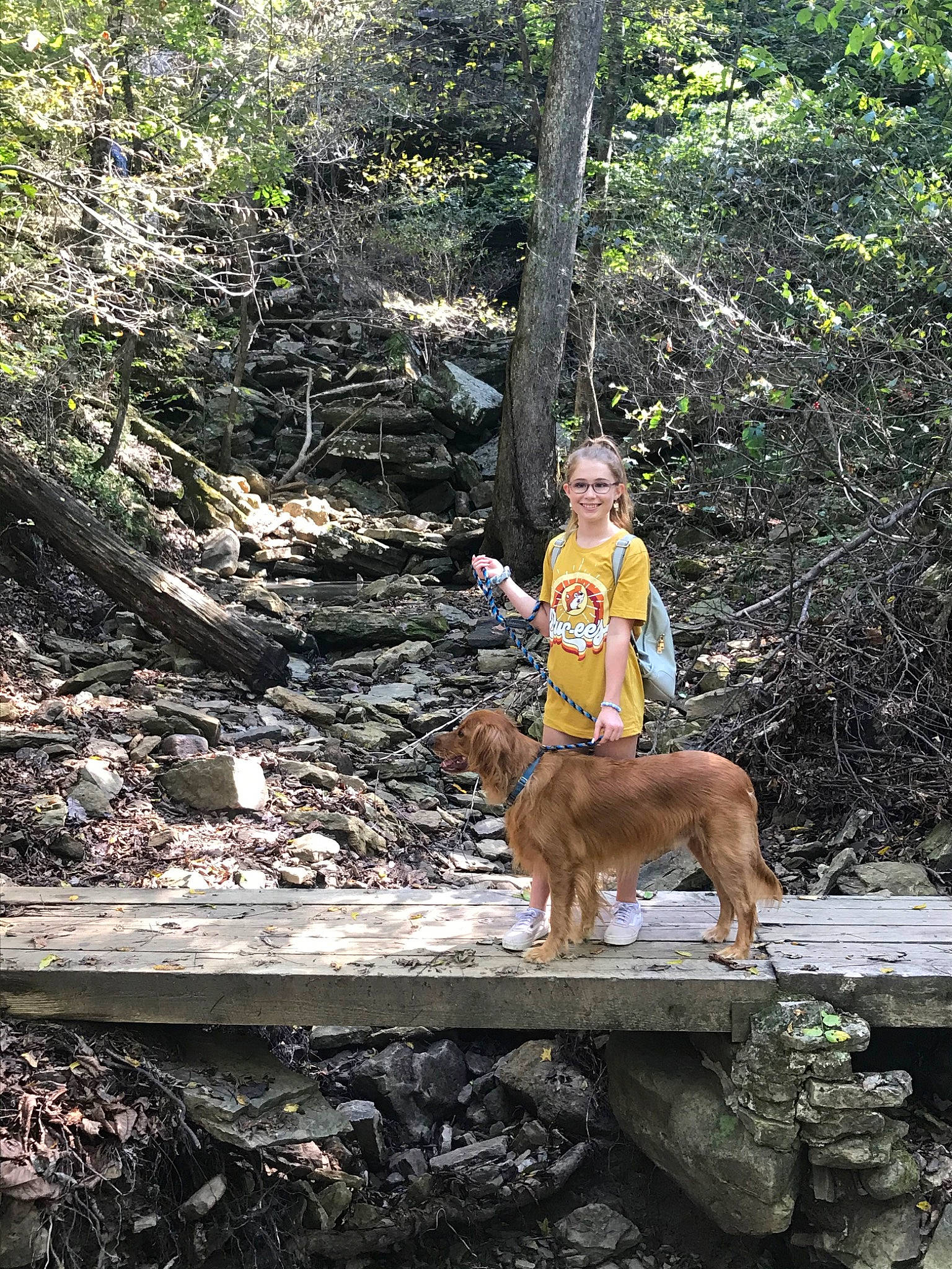 Brady is registered to the contest to win money with this photo: adventure, canidae, carnivore, dog, dog_hiking, fawn, forest, nova_scotia_duck_tolling_retriever, old_growth_forest, recreation, retriever, sporting_group, state_park, trail, tree, vacation, walking