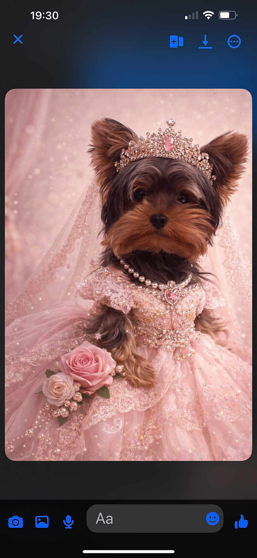 Ambre participe au concours pour gagner de l'argent avec cette photo : adorable, celebration, closeup, costume, cute, dog, dress_up, elegant, flowers, indoor, lace, pearl_necklace, pet, pink_dress, portrait, princess, roses, soft_lighting, tiara, yorkshire_terrier