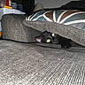 Spook is registered to the contest to win money with this photo: black_cat, cat, couch, cushion, indoor, pet, feline, animal, hiding, gray_fabric, eyes_glowing, furniture, cozy, home, living_room, domestic_cat, resting, cute, curious, shadow