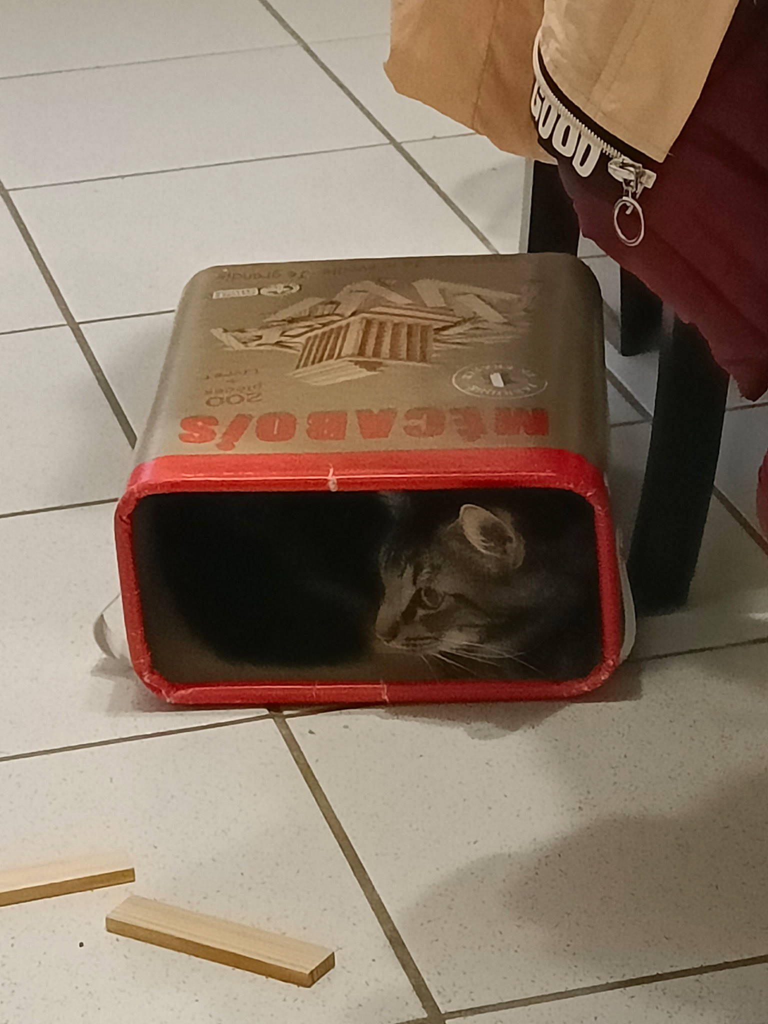 Blacky a rejoint le concours — aidez-le/la à gagner de superbes lots ! art, bag, baggage, box, carmine, carnivore, cat, domestic_short_haired_cat, fashion_accessory, felidae, flooring, font, hardwood, luggage_and_bags, material_property, plywood, small_to_medium_sized_cats, tail, whiskers, wood