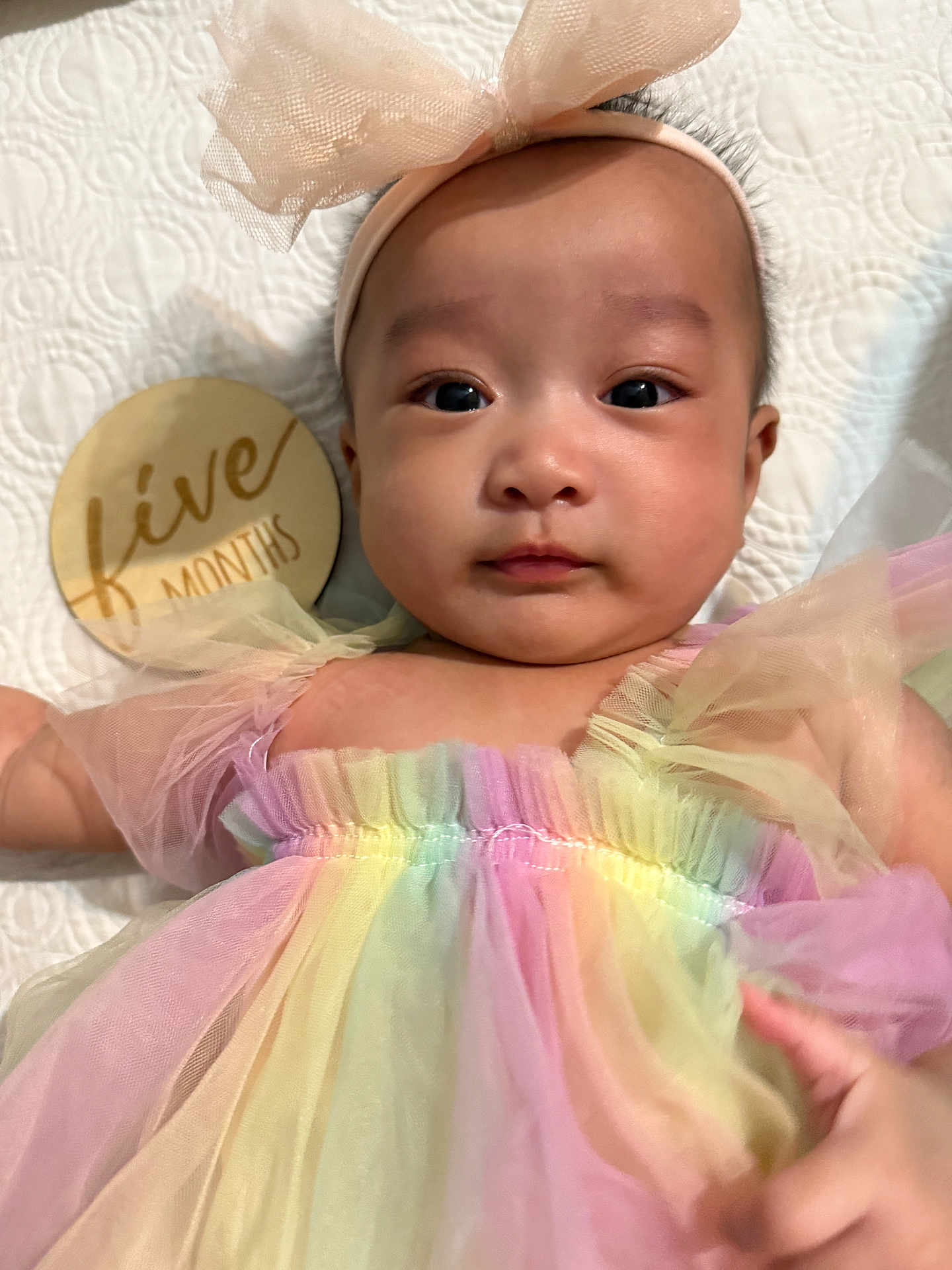 Princess Stacie joined the competition — help win amazing prizes! baby, infant, tulle_dress, headband, bow, pastel_colors, rainbow, milestone, five_months, wooden_sign, quilted_blanket, portrait, face, eyes, cute, child, laying_down, soft_fabric, newborn, adorable
