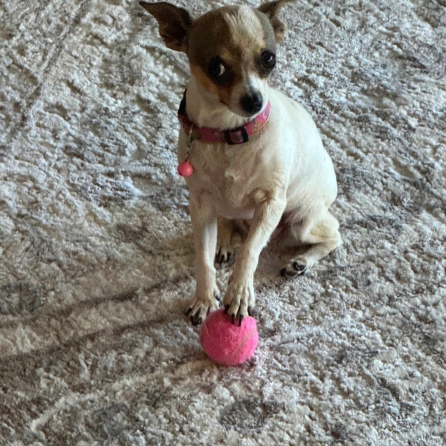 Penny Lane