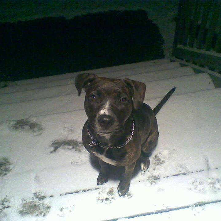 Bella Bear joined the competition — help win amazing prizes!