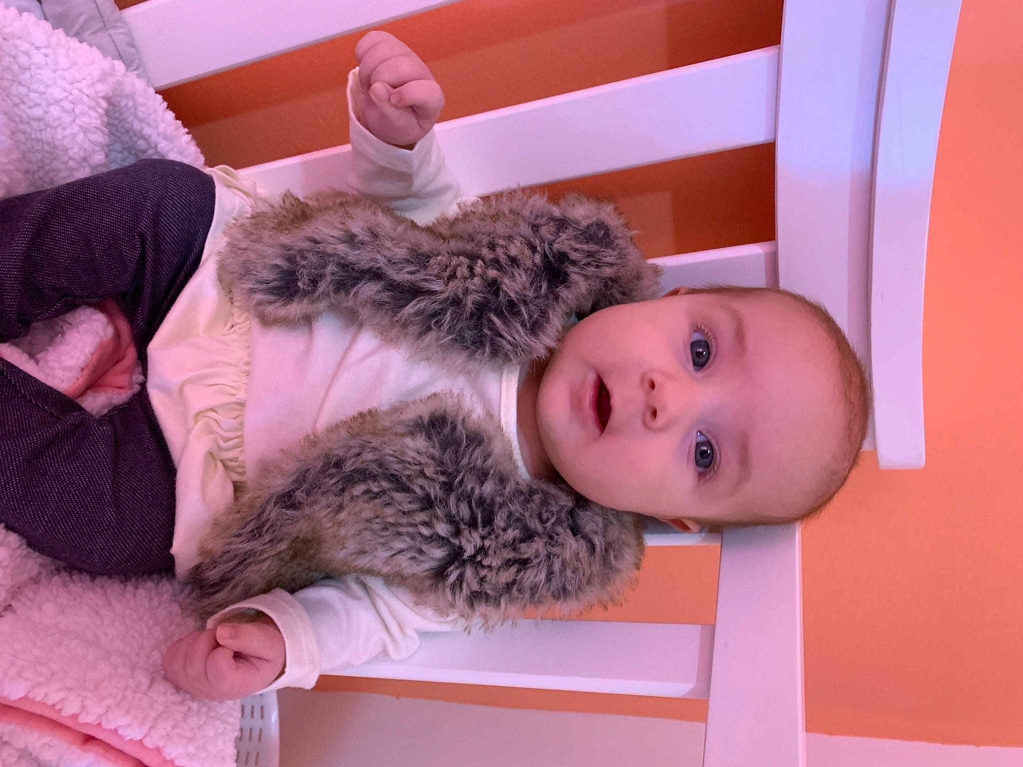 Maddy a rejoint le concours — aidez-le/la à gagner de superbes lots ! beard, canidae, child, comfort, companion_dog, dog_breed, domestic_short_haired_cat, ear, fawn, felidae, fur, hat, person, skin, small_to_medium_sized_cats, snout, sporting_group, stuffed_toy, textile, toddler