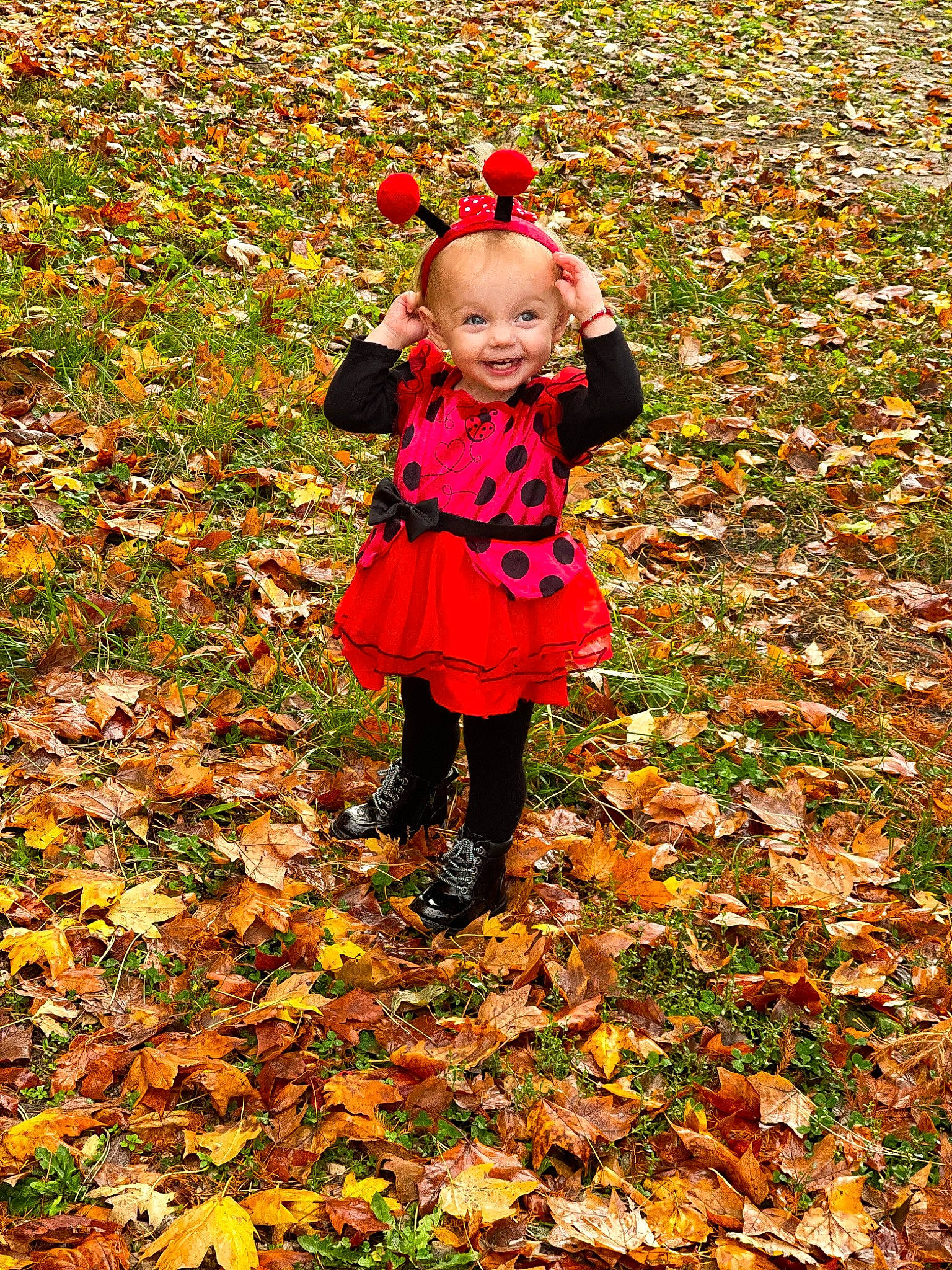 Blakelynn is registered to the contest to win money with this photo: autumn, baby, baby_toddler_clothing, child, coquelicot, deciduous, flowering_plant, fun, grass, happy, joy, magenta, natural_landscape, people_in_nature, person, petal, plant, playing_with_kids, smile, tints_and_shades