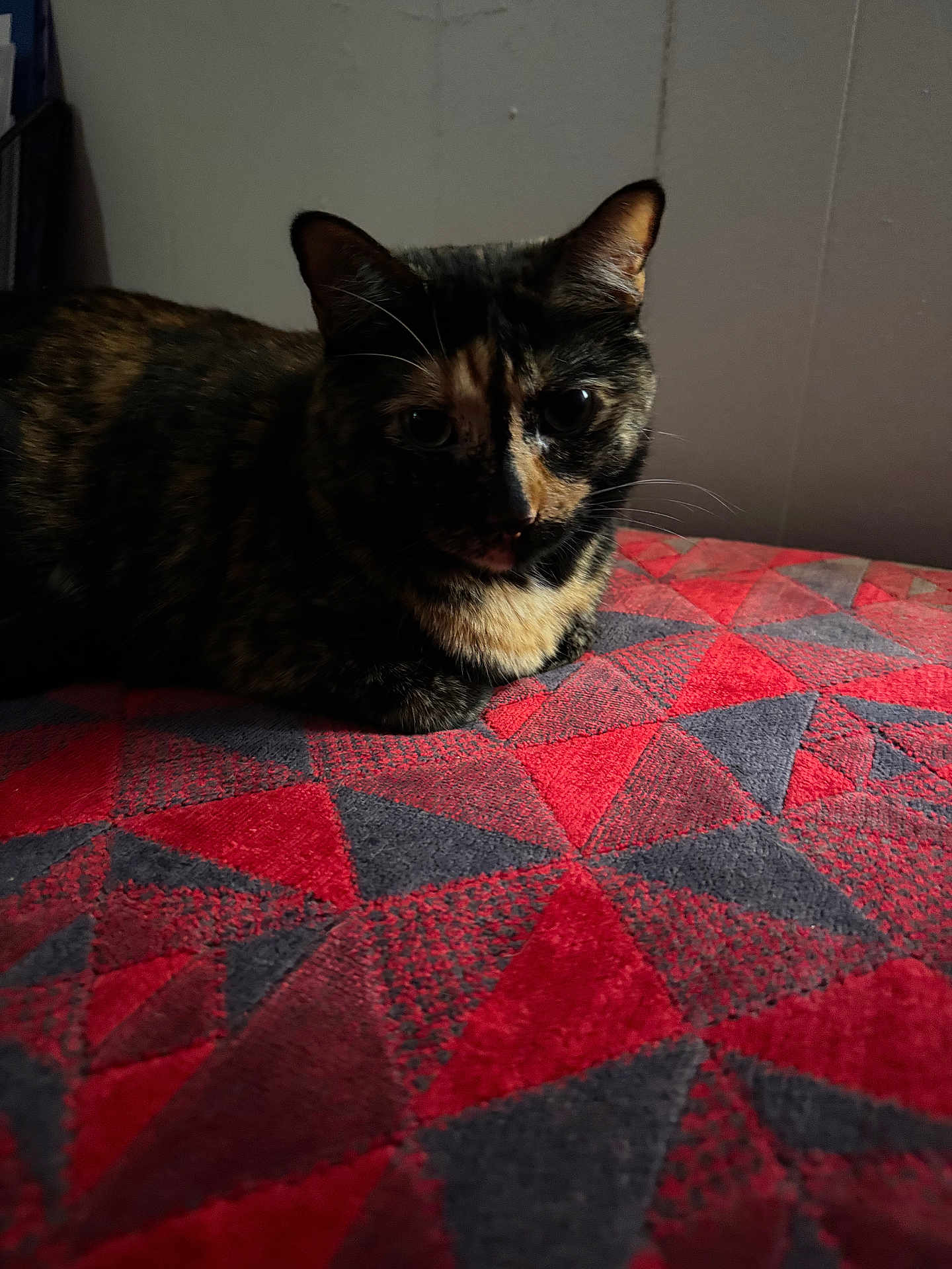 Mel