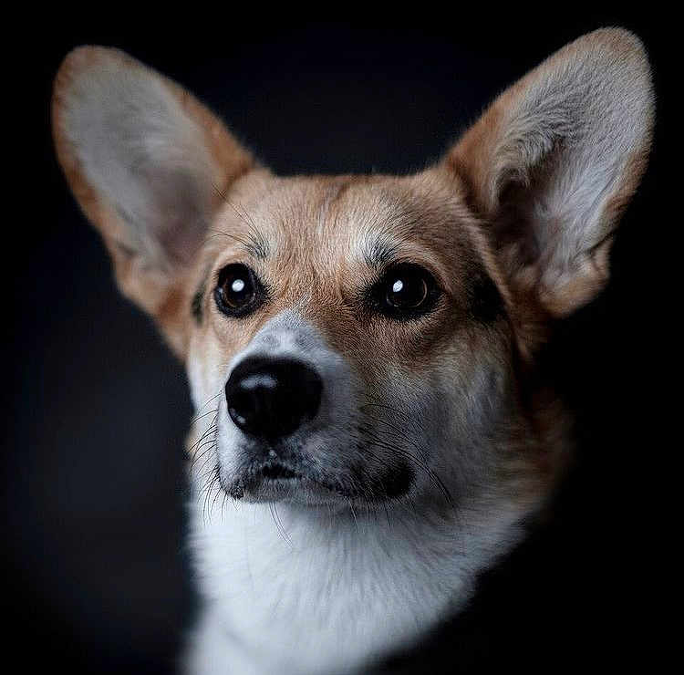 Odin