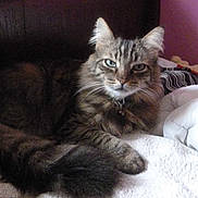 Maybe a rejoint le concours — aidez-le/la à gagner de superbes lots !