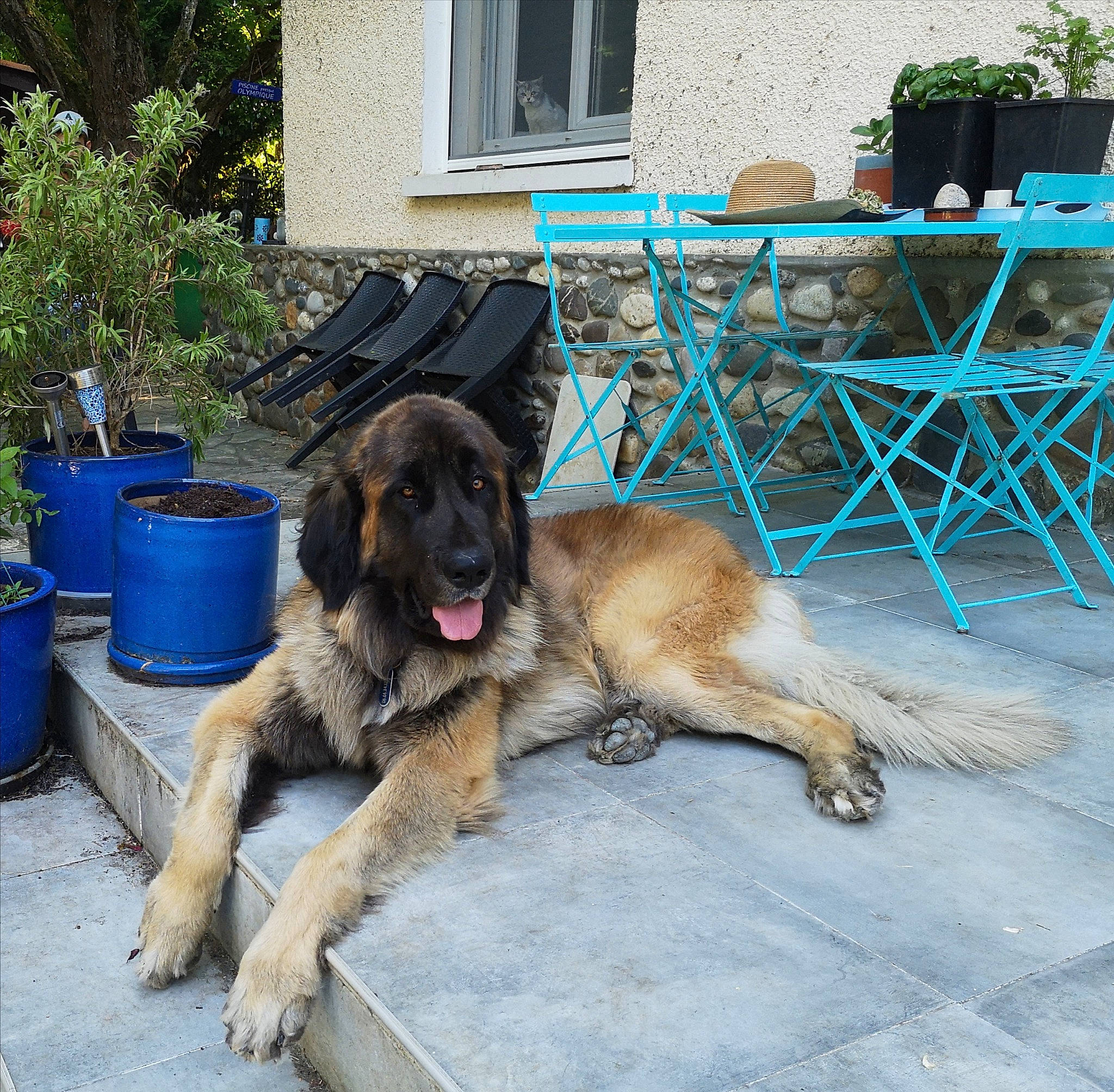 Octave Ello No Rebat