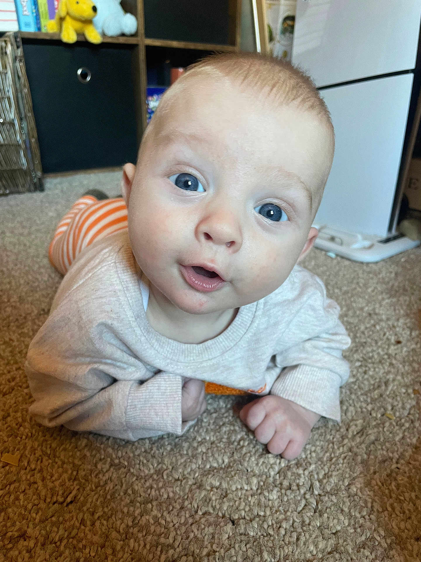 Albie is registered to the contest to win money with this photo: baby, child, blue_eyes, carpet, sweater, orange_striped_pants, indoor, floor, toy, shelf, home, person, cute, infant, tummy_time, looking_up, expression, closeup, furniture, playroom
