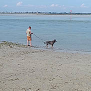 Peurcy a rejoint le concours — aidez-le/la à gagner de superbes lots ! beach, casual, clouds, coast, daytime, dog, leash, man, nature, outdoor, pet, relaxation, sand, shore, sky, standing, summer, vacation, walking, water