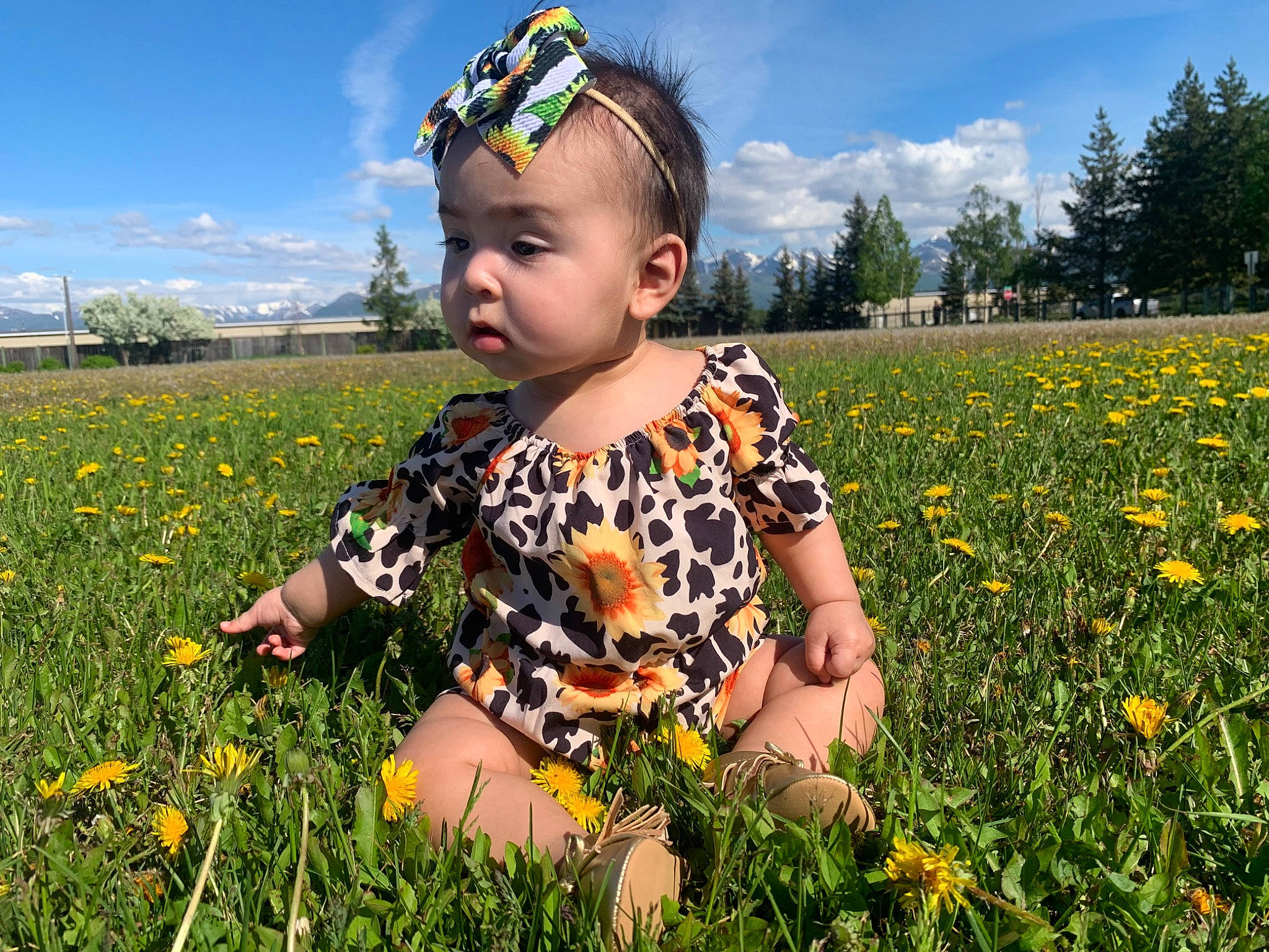 Alicianna joined the competition — help win amazing prizes! baby, baby_toddler_clothing, cloud, field, flower, fun, grass, grass_family, grassland, happy, lawn, leaf, meadow, people_in_nature, person, plant, prairie, sky, toddler, tree