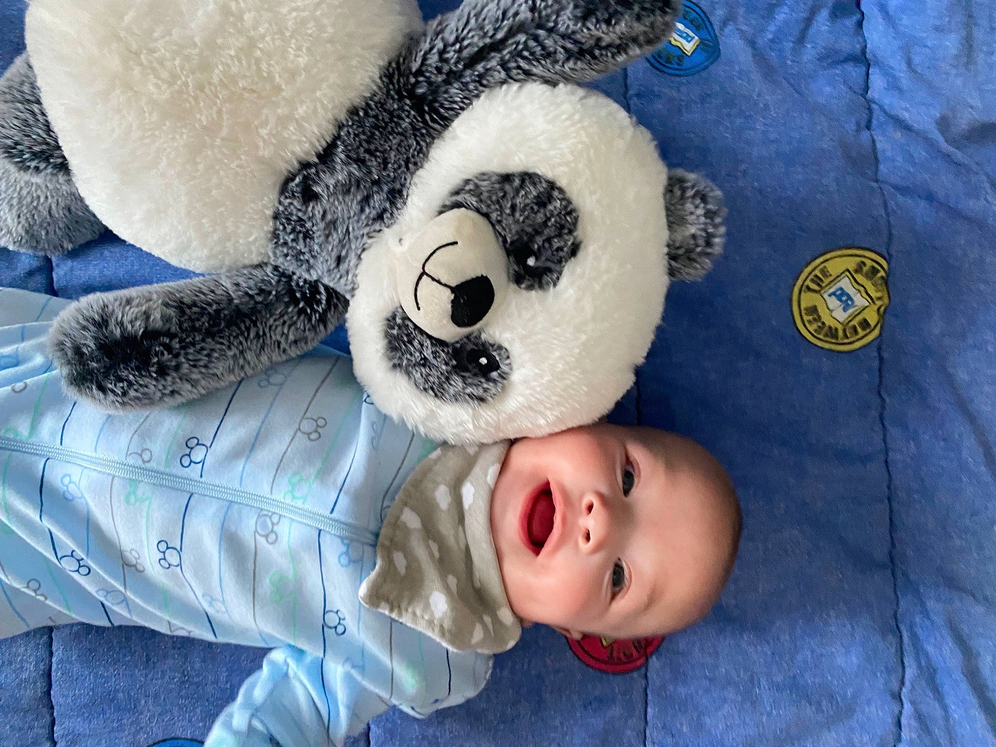 Beau is registered to the contest to win money with this photo: baby, baby_toddler_clothing, child, comfort, fun, fur, happy, nose, panda, pattern, person, plush, snout, stuffed_toy, sunglasses, terrestrial_animal, textile, toddler, toy, white