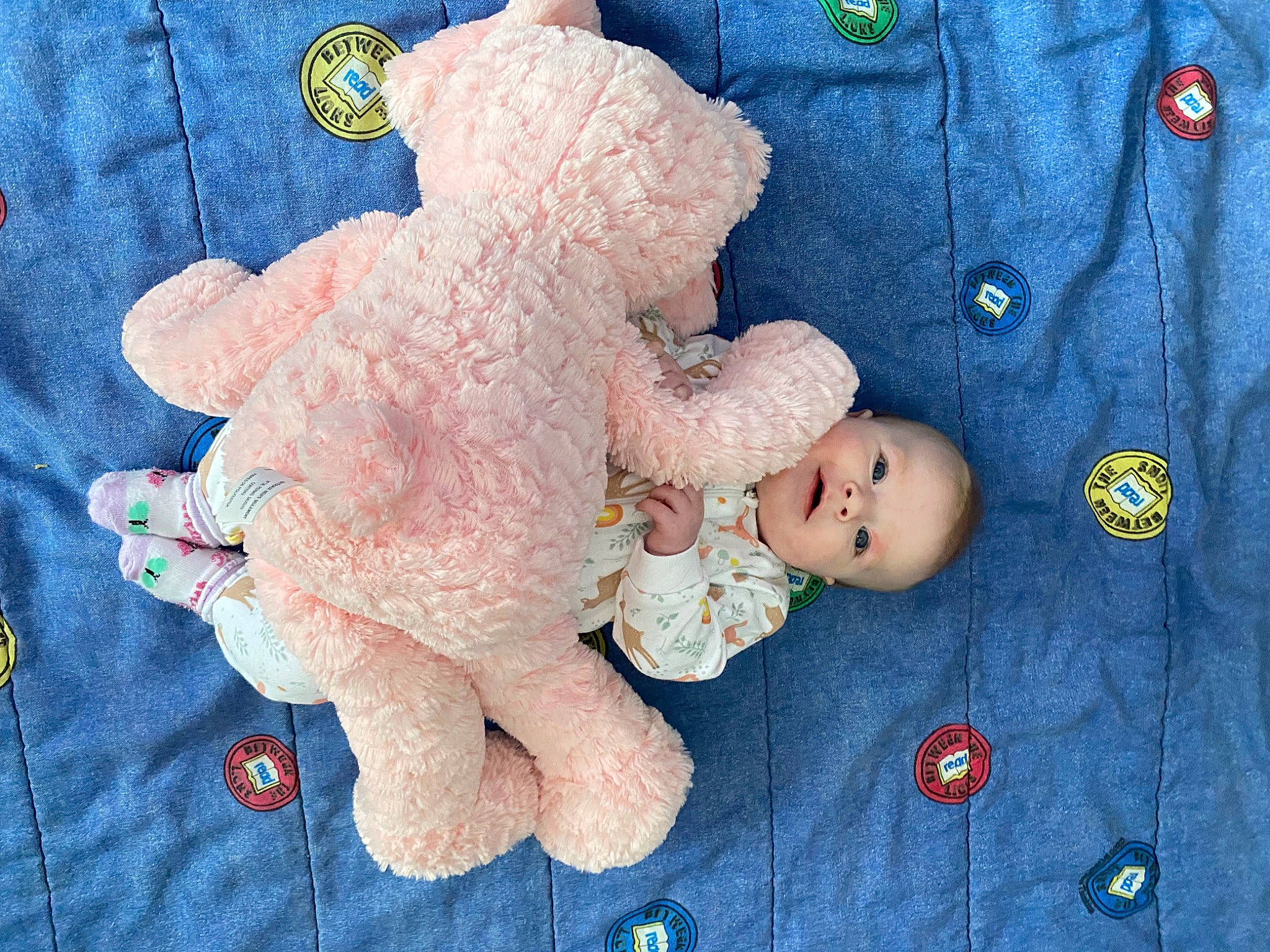 Elena is registered to the contest to win money with this photo: baby_products, baby_sleeping, baby_toddler_clothing, baby_toys, button, child, collar, electric_blue, fashion_accessory, gesture, linens, pattern, person, plush, red, sleeve, stuffed_toy, teddy_bear, textile, toy