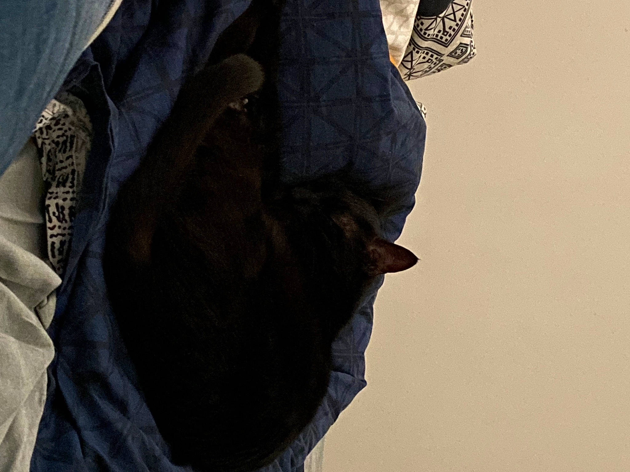 Petit Pas participe au concours pour gagner de l'argent avec cette photo : denim, electric_blue, fashion_accessory, fashion_design, gesture, grey, human_leg, outerwear, pattern, pocket, rock, sky, sleeve, sportswear, t_shirt, tints_and_shades, top, visual_arts, waist, wood