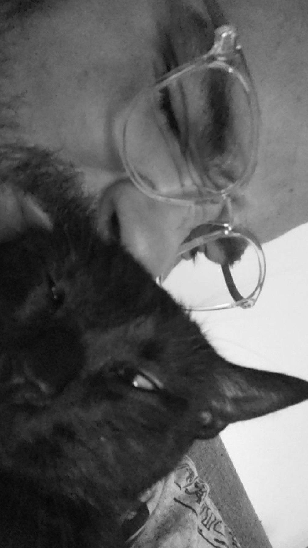 Petit Pas a rejoint le concours — aidez-le/la à gagner de superbes lots ! beard, carnivore, cat, dog_breed, ear, eyelash, eyewear, felidae, fur, gesture, human_body, jaw, monochrome, monochrome_photography, small_to_medium_sized_cats, snout, style, sunglasses, vision_care, whiskers