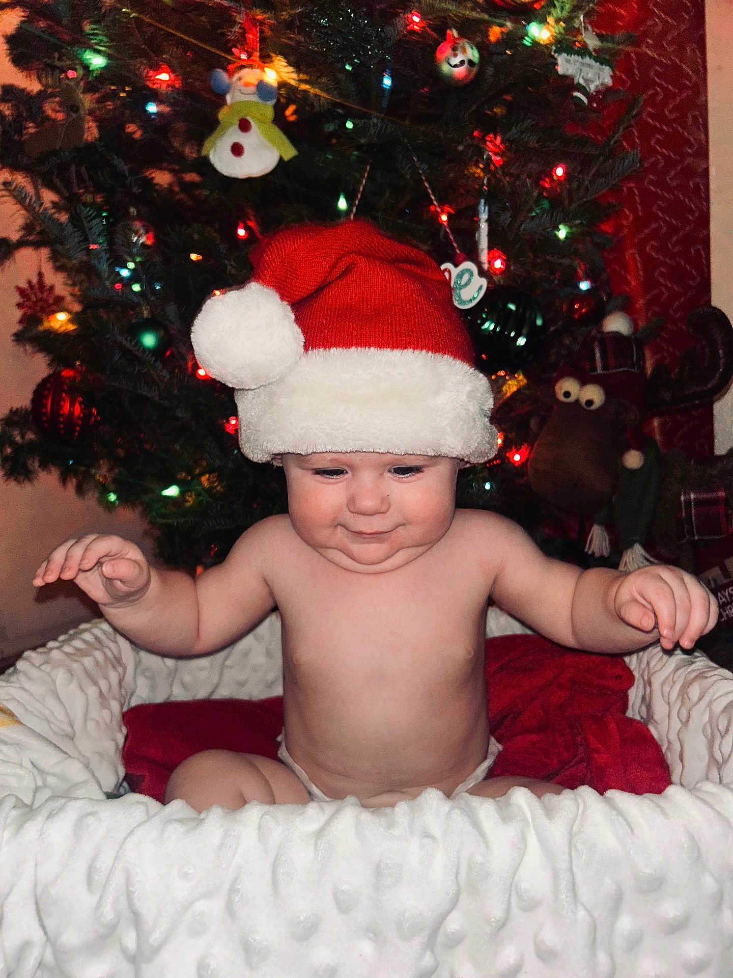 Leo joined the competition — help win amazing prizes! baby, santa_hat, christmas_tree, christmas_lights, basket, blanket, holiday, festive, smiling, indoors, plush_toy, reindeer, red, white, decorations, child, cute, happy, holiday_season, celebration