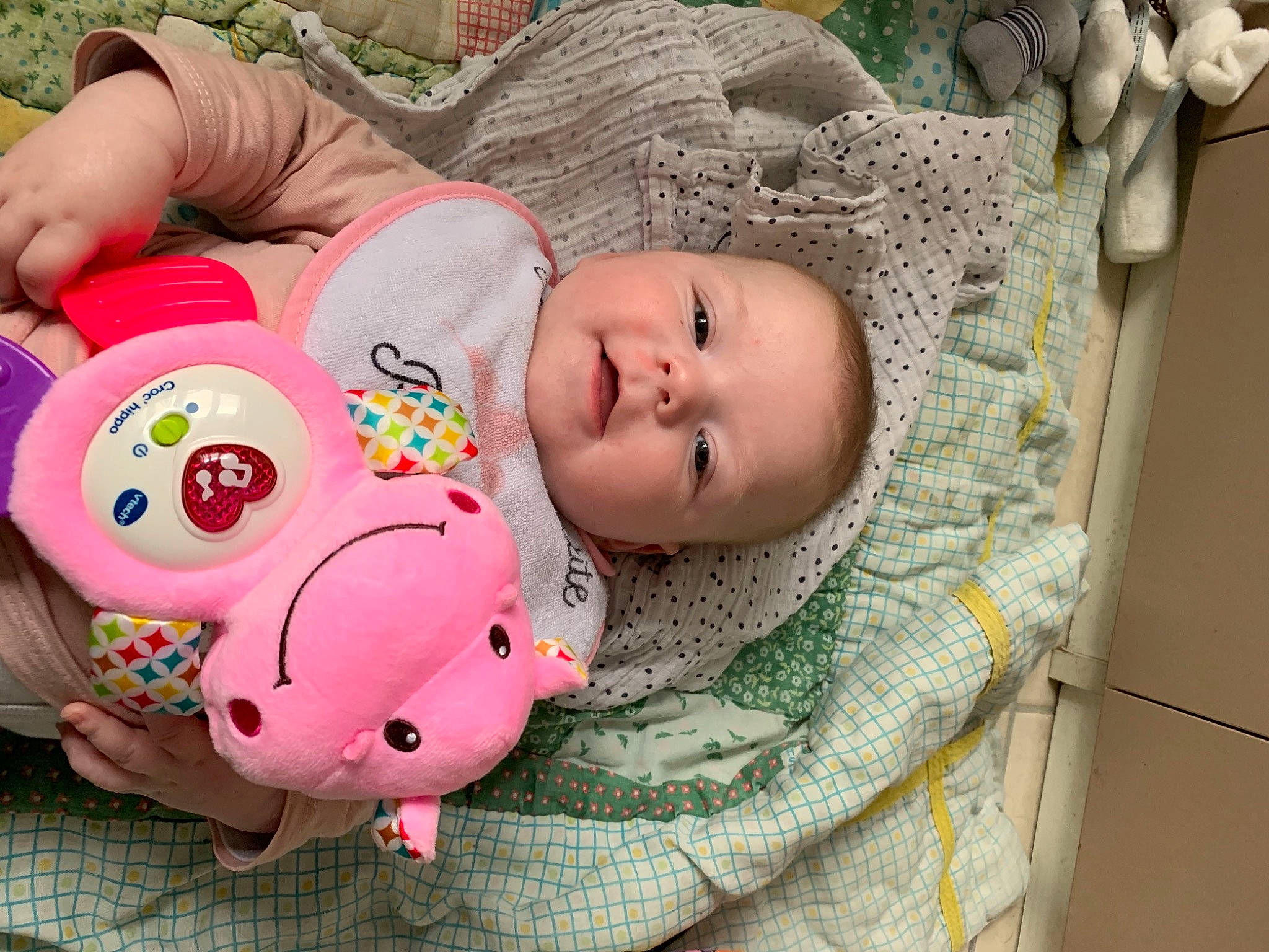 Ilyanna a rejoint le concours — aidez-le/la à gagner de superbes lots ! baby_products, baby_safety, baby_toddler_clothing, baby_toys, bedtime, infant_bed, linens, livestock, person, pink, plush, stuffed_toy, suidae, toy