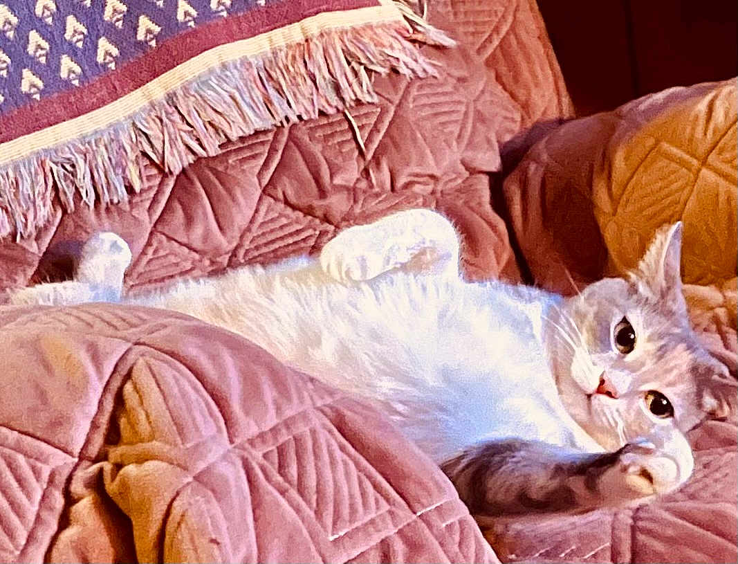 Little Girl