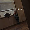 toddler, cat, window, pajamas, indoor, wooden_floor, child, black_cat, curious, standing, windowsill, light, home, floor, animal, pet, baby, cozy, emojis, wall