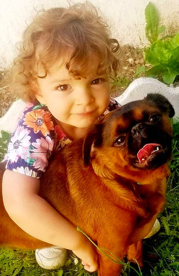 Popeye a rejoint le concours — aidez-le/la à gagner de superbes lots ! carnivore, companion_dog, dog, dog_breed, eye, fawn, fun, grass, hair, happy, head, liver, mouth, nose, people_in_nature, plant, skin, smile, toddler, working_animal