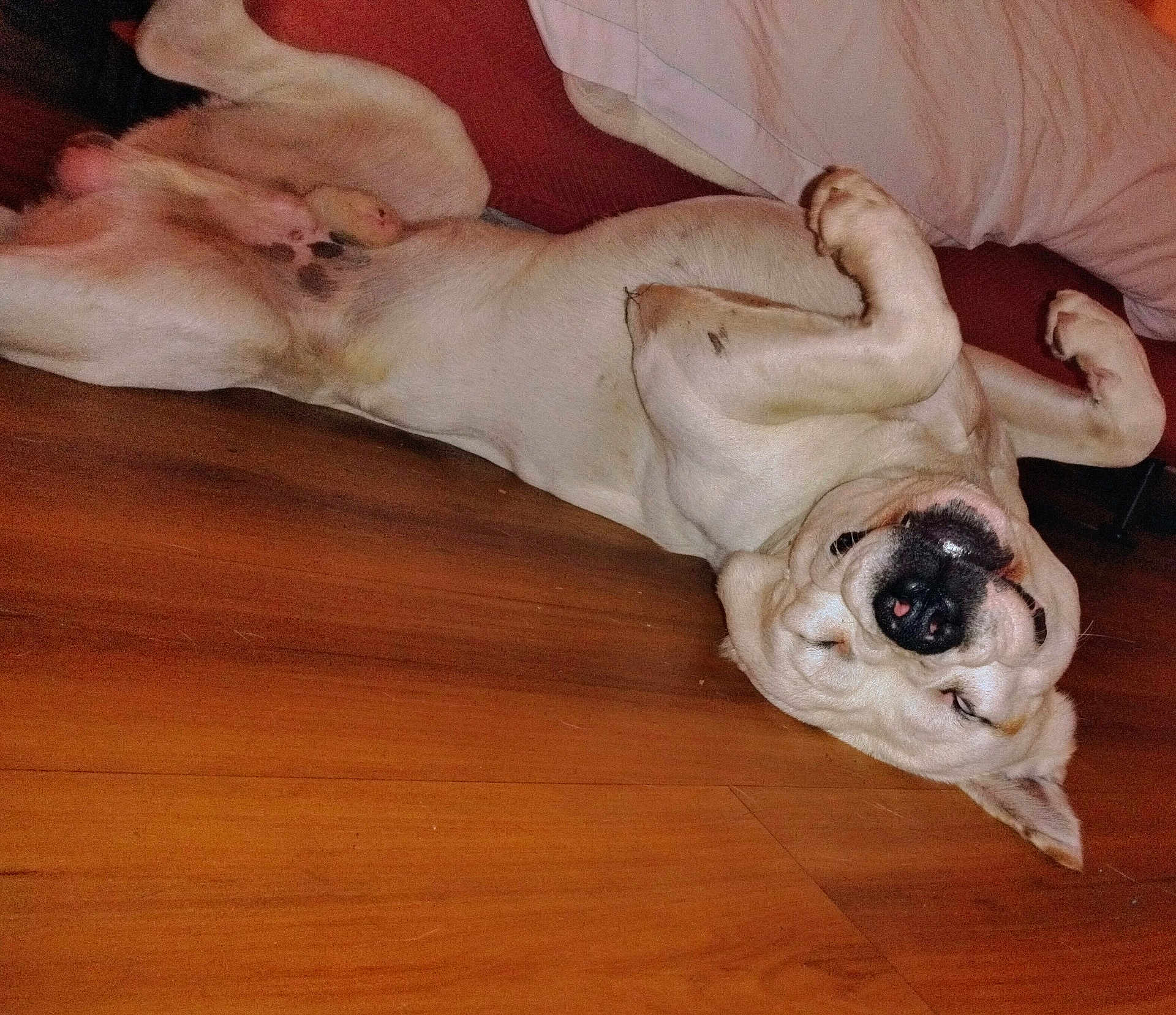 Guero