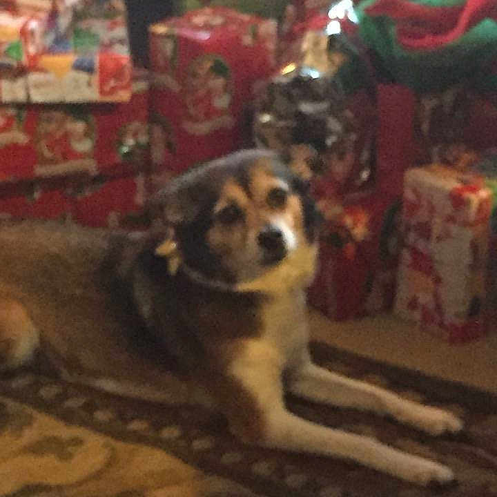 Bella