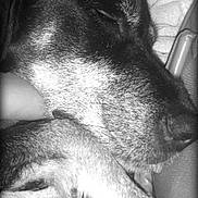 Kayla participe au concours pour gagner de l'argent avec cette photo :