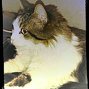 Arthur participe au concours pour gagner de l'argent avec cette photo :