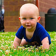 Beaux joined the competition — help win amazing prizes! baby, child, crawling, grass, flowers, blue_eyes, outdoor, greenery, person, infant, nature, portrait, cute, toddler, short_hair, smiling, daylight, casual_clothing, field, curious