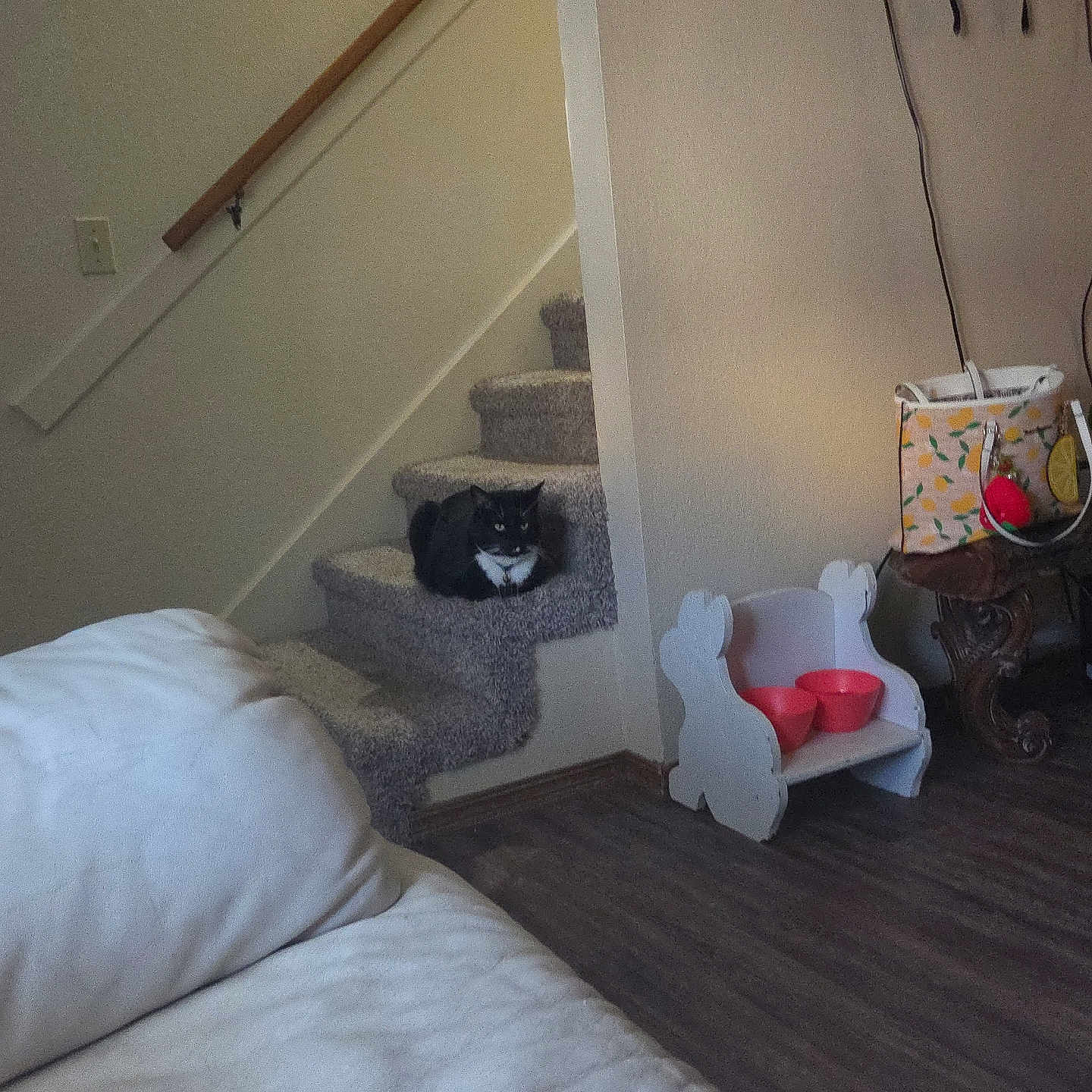 Binx