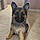 Zula