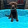 Lainey
