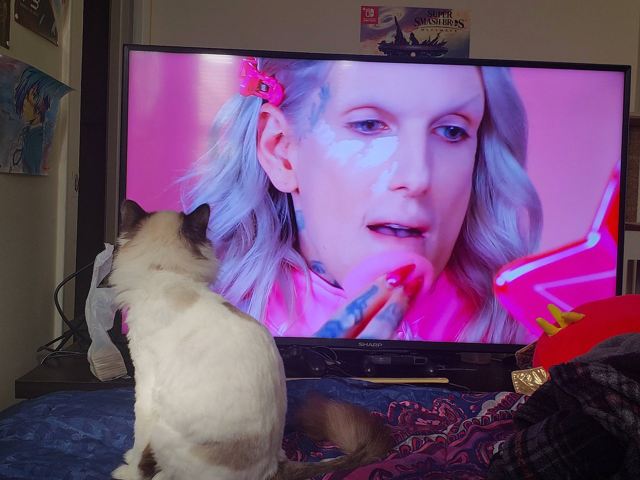 Alice is registered to the contest to win money with this photo: art, artist, display_device, electronic_device, flat_panel_display, fur, headwear, lady, magenta, media, person, pink, purple, technology, television, visual_arts