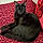 Berlioz