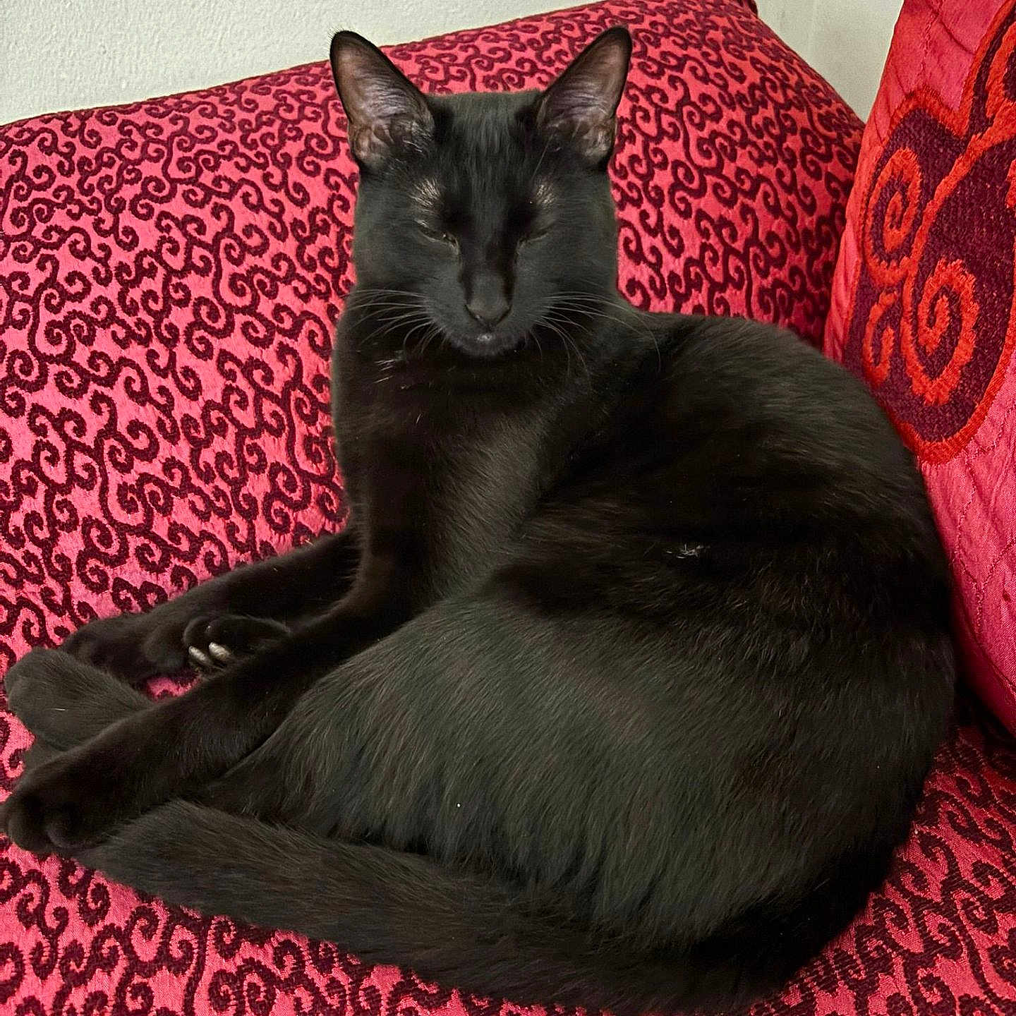 Berlioz