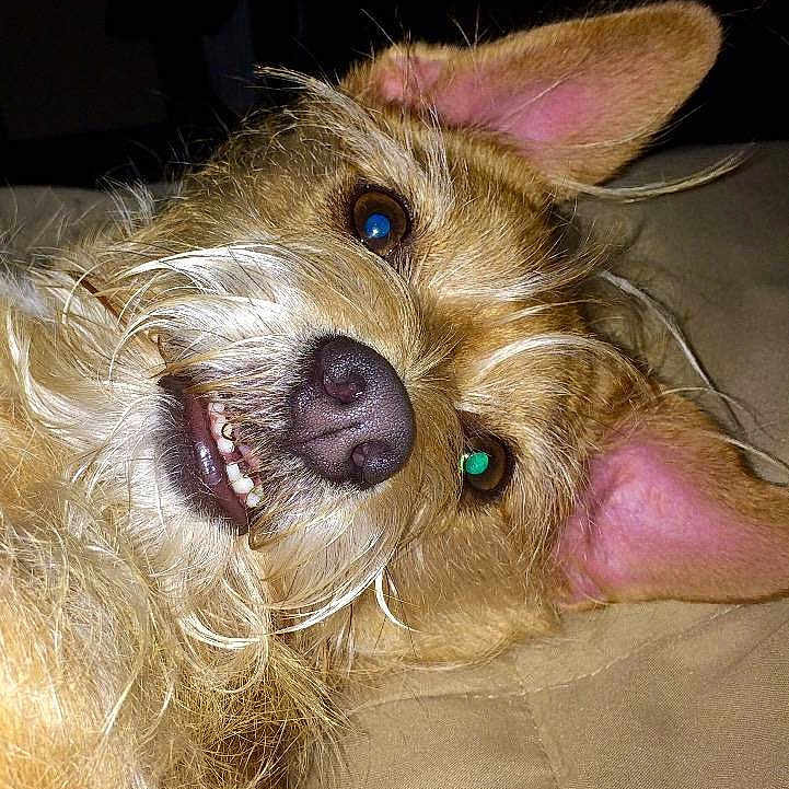 Rudy is registered to the contest to win money with this photo: