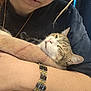 Bandit joined the competition — help win amazing prizes! abyssinian, accessories, adult, animal, bodypart, bracelet, cat, face, female, finger, hand, head, jewelry, kitten, necklace, person, pet, woman, wrist, wristwatch