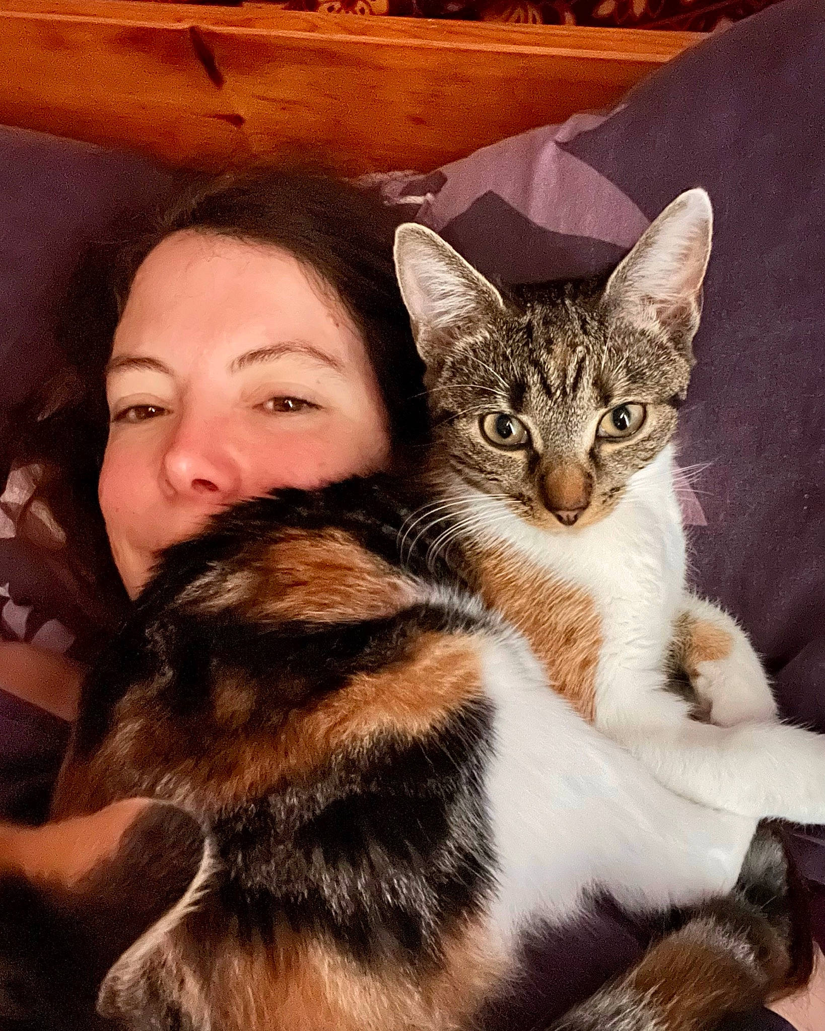 Dory joined the competition — help win amazing prizes! carnivore, cat, claw, comfort, domestic_short_haired_cat, ear, felidae, fur, happy, head, lap, paw, photo_caption, selfie, sitting, small_to_medium_sized_cats, snout, tail, whiskers