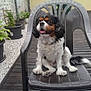 Enak participe au concours pour gagner de l'argent avec cette photo :