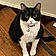 Oliver