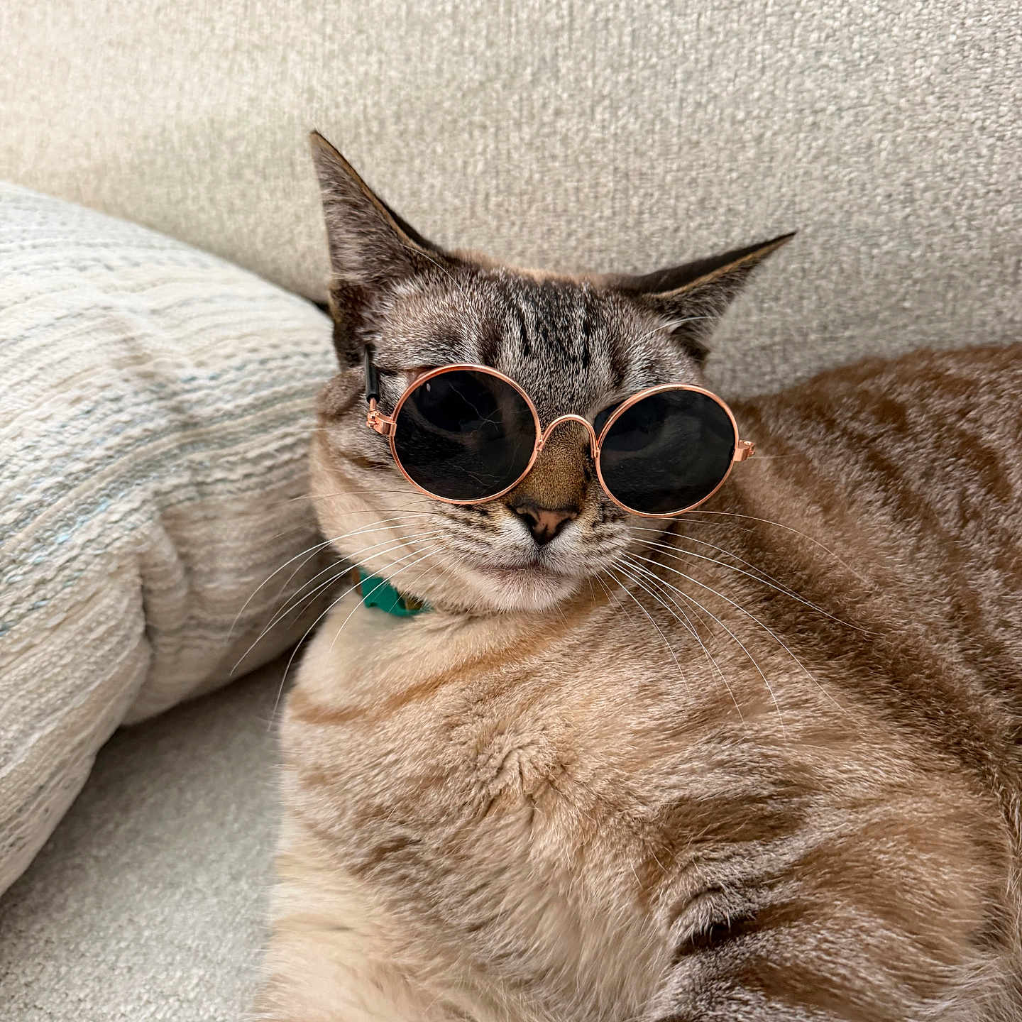 Nala