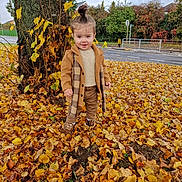 Matthew joined the competition — help win amazing prizes! toddler, child, autumn, leaves, tree, coat, pants, boots, topknot, outdoor, nature, street, sidewalk, fence, greenery, fall, person, cute, young_child, season