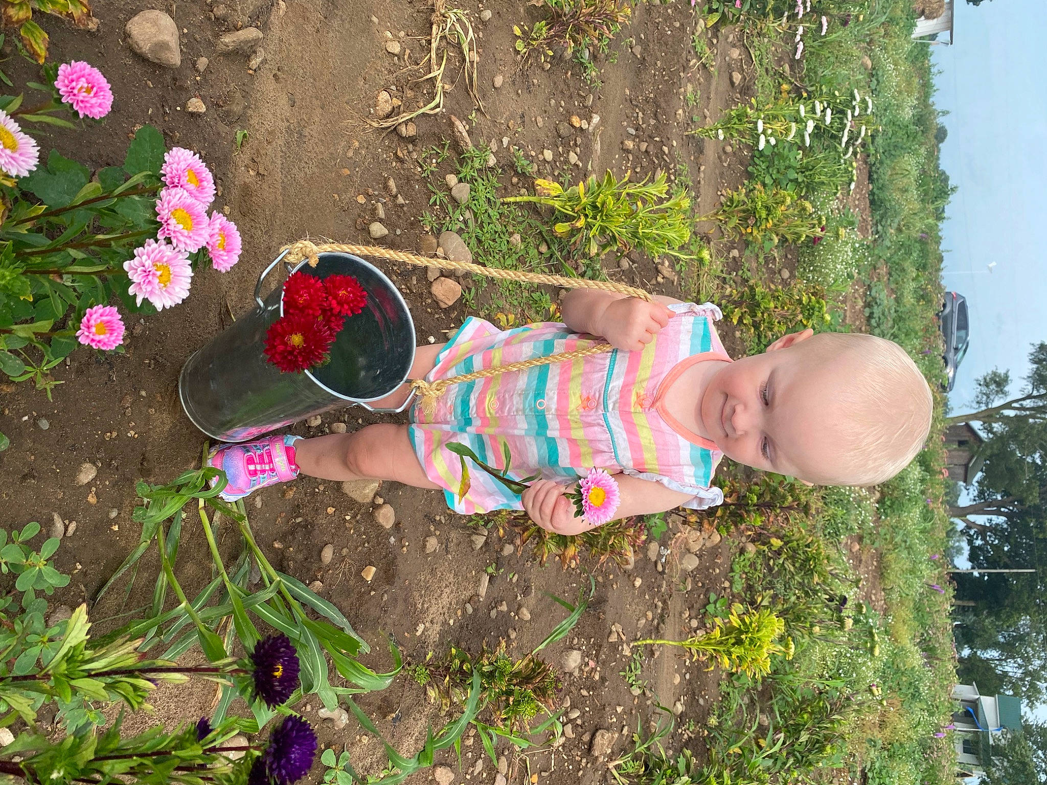 Avacyn joined the competition — help win amazing prizes! baby, baby_toddler_clothing, child, fun, garden, grass, leaf, magenta, nature, people_in_nature, person, petal, pink, plant, sandal, shrub, sky, summer, terrestrial_plant, toddler